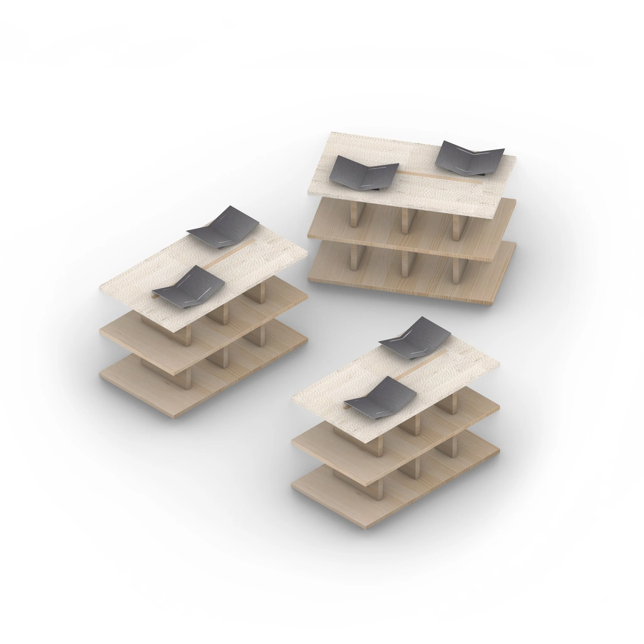 Axonometric study of the central display tables